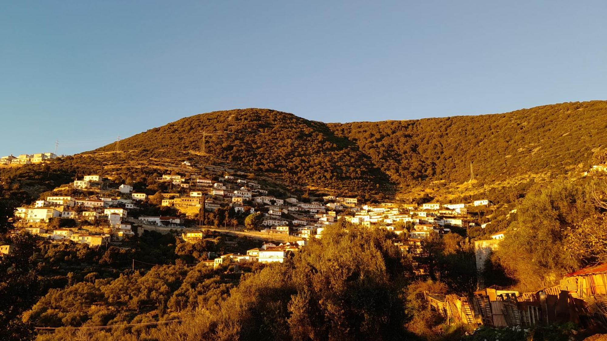 Shkolla & *